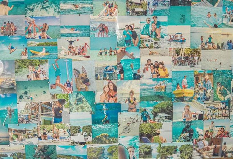 Bella S Backpackers Hostel