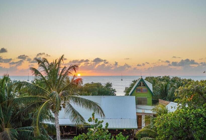 Bella S Backpackers Hostel