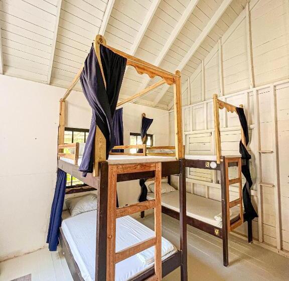 Bella S Backpackers Hostel