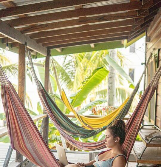 Bella S Backpackers Hostel