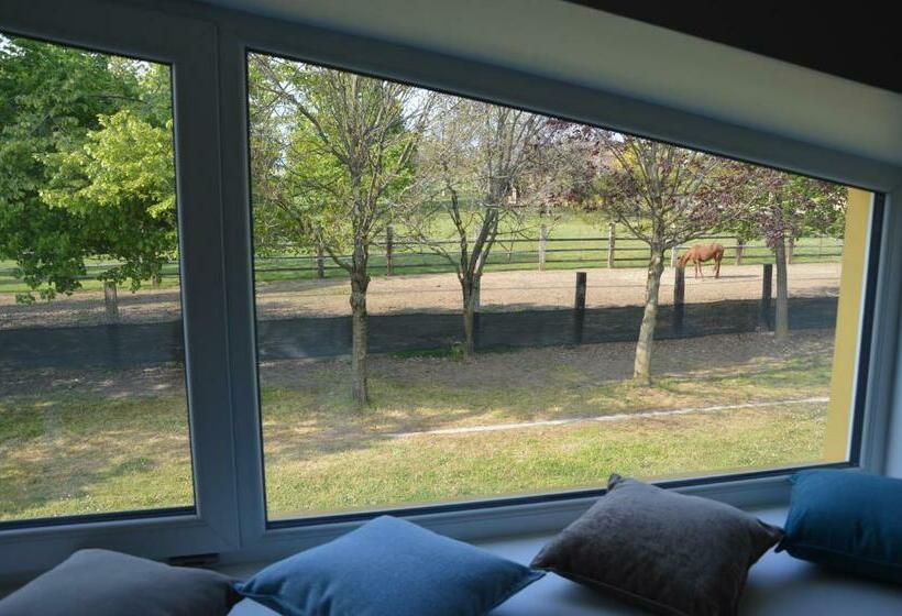 호텔 Agriturismo Castolda