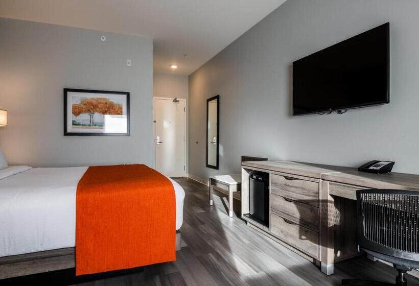 فندق Amsterdam Inn & Suites Florenceville