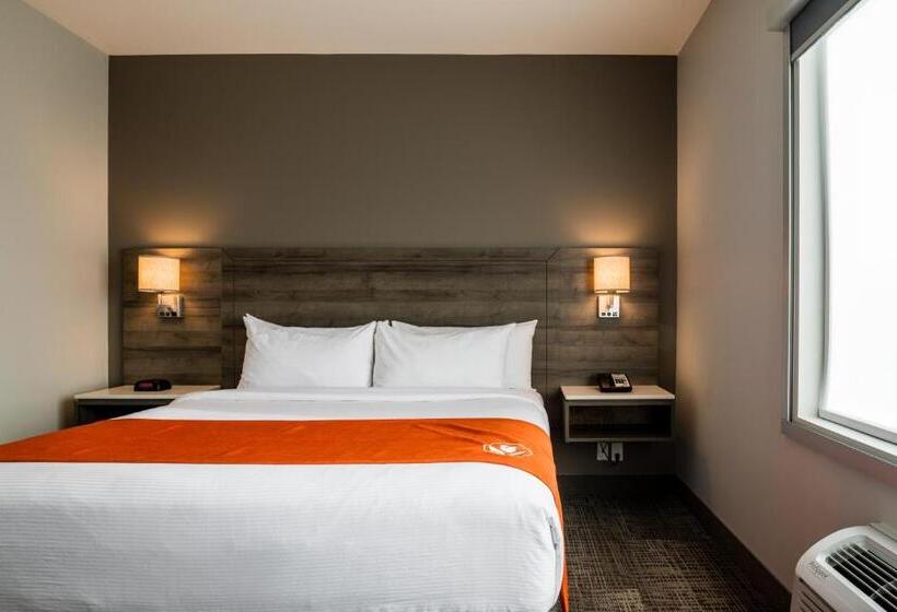 فندق Amsterdam Inn & Suites Florenceville
