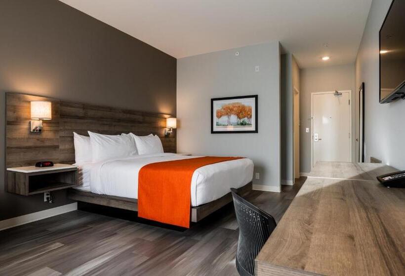 فندق Amsterdam Inn & Suites Florenceville