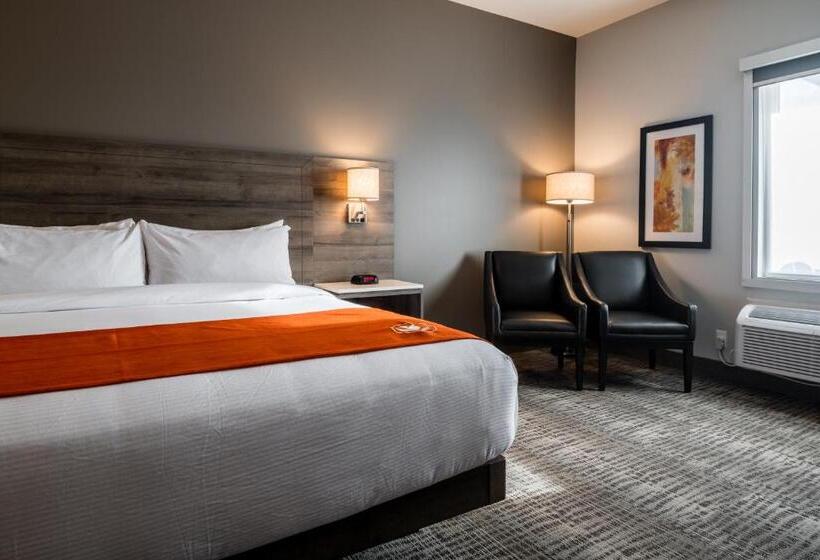 فندق Amsterdam Inn & Suites Florenceville