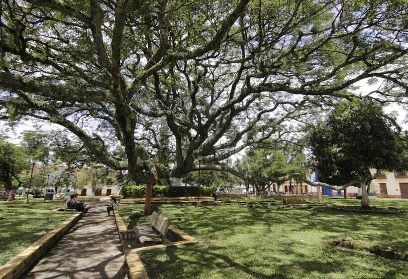 酒店 Cacique Chalalá