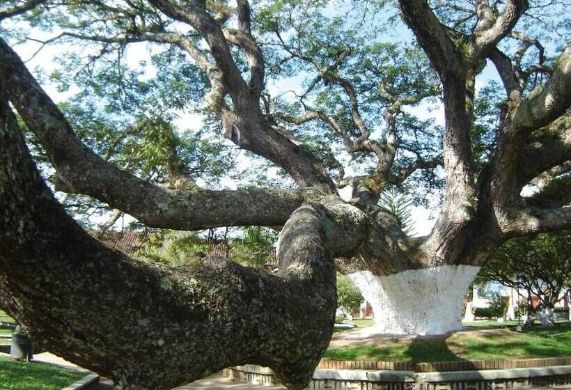 酒店 Cacique Chalalá