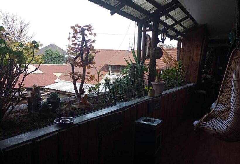 酒店 Hostal Valentino Villarrica