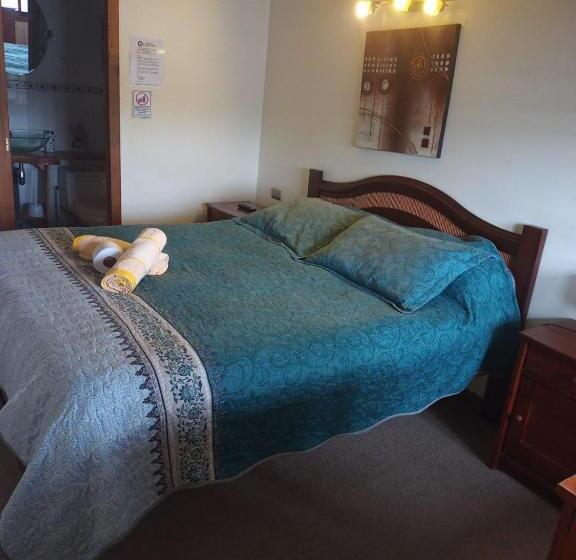 酒店 Hostal Valentino Villarrica