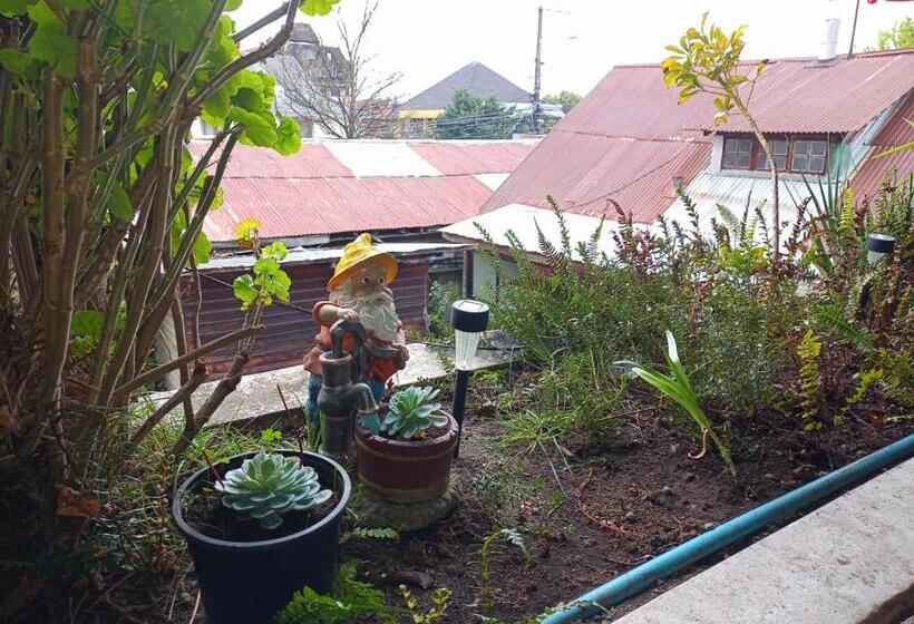 酒店 Hostal Valentino Villarrica