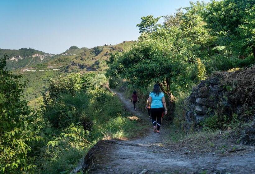 ホテル Kothli Hills