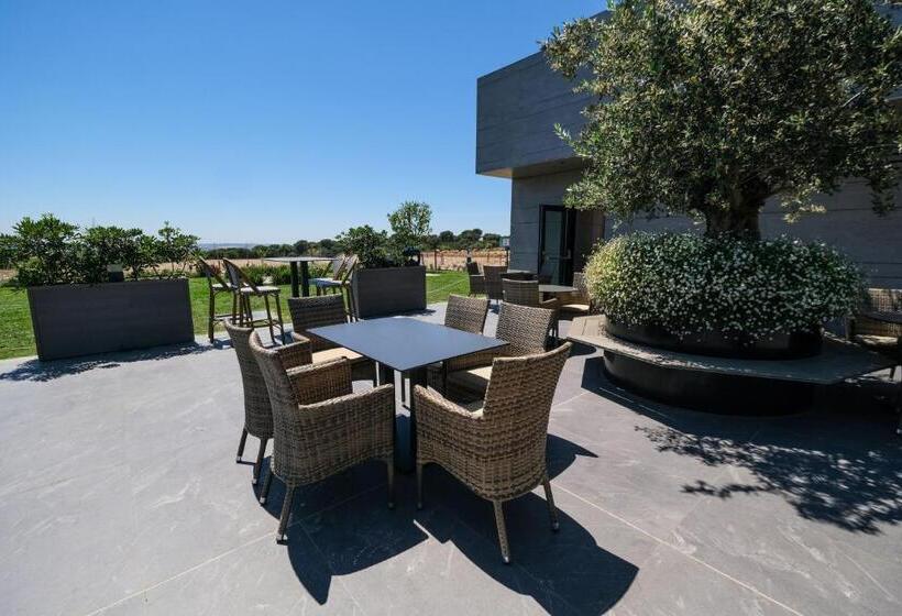 בית מלון כפרי Ld Sevilla