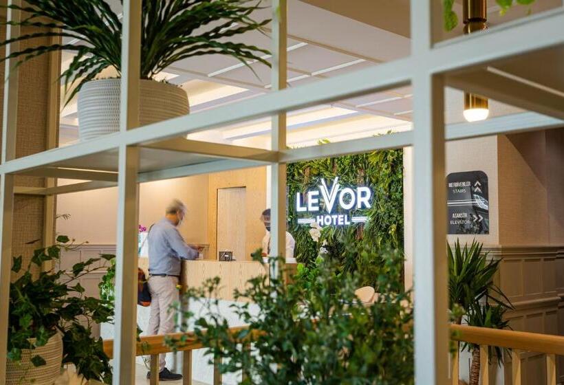 Отель Levor