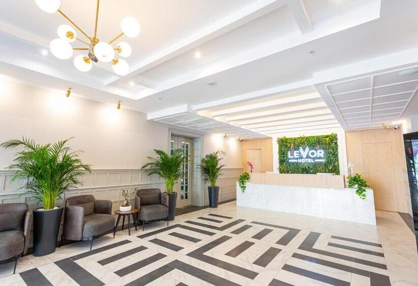 Отель Levor