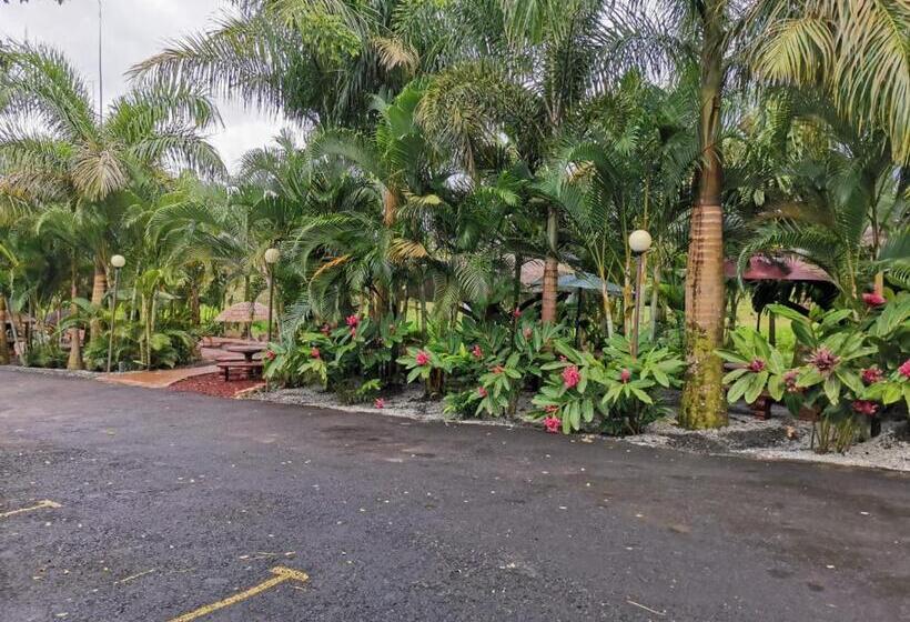 فندق Palmera Real Hot Springs