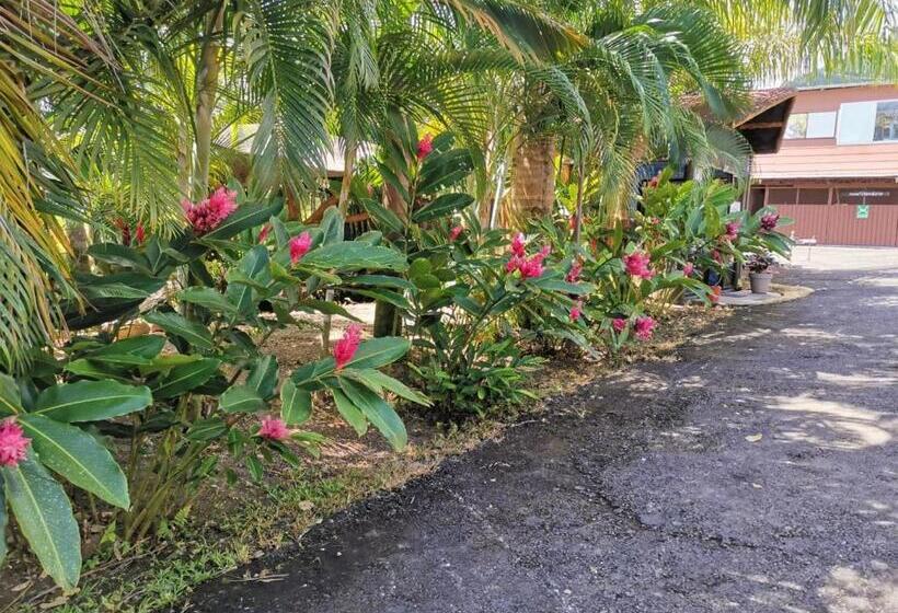 فندق Palmera Real Hot Springs