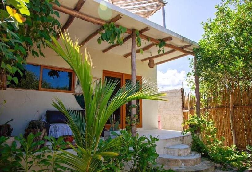 酒店 Lunada Holbox