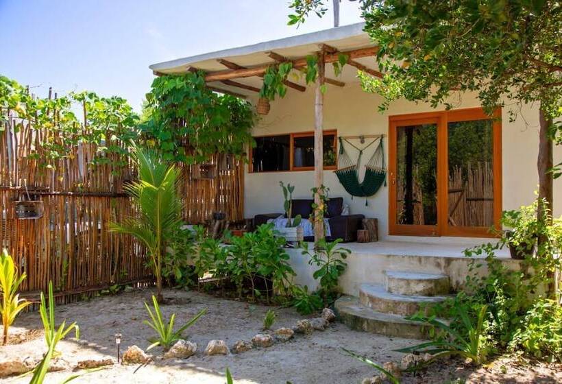 酒店 Lunada Holbox