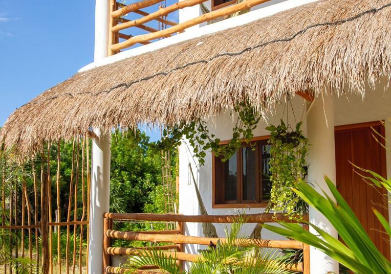 酒店 Lunada Holbox