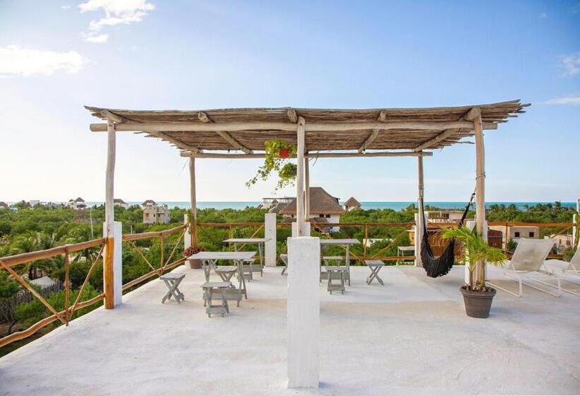 酒店 Lunada Holbox