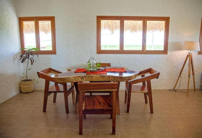 酒店 Lunada Holbox