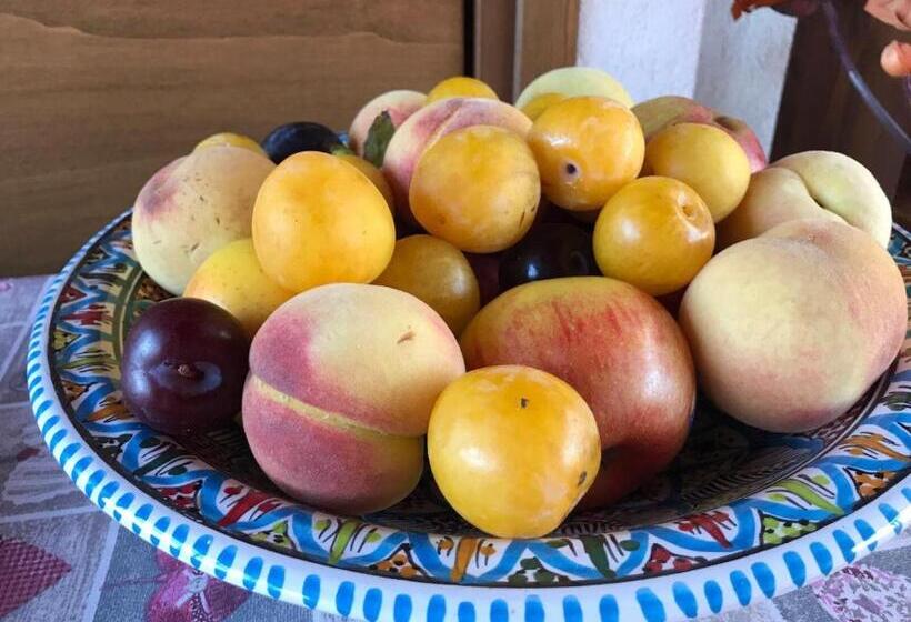 ペンション El Nur Bed & Breakfast