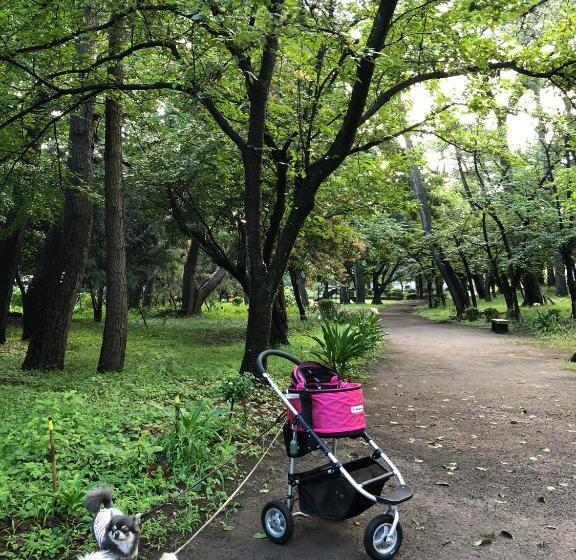 ユースホステル 沼津ライダーハウスしんちゃん