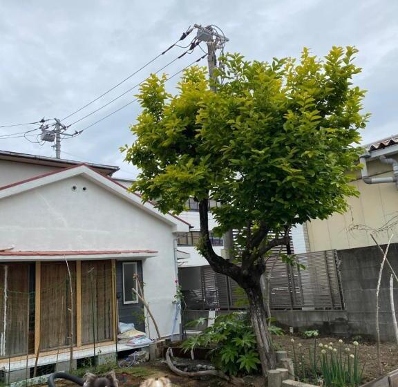 ユースホステル 沼津ライダーハウスしんちゃん