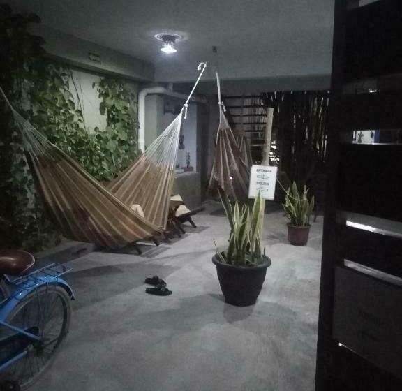 הוסטל Hostal Jardin