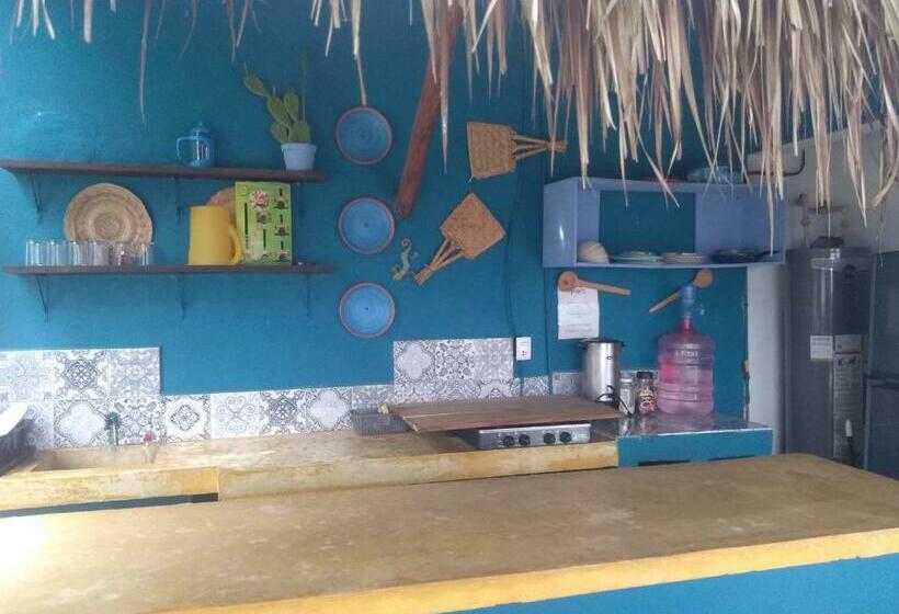 הוסטל Hostal Jardin