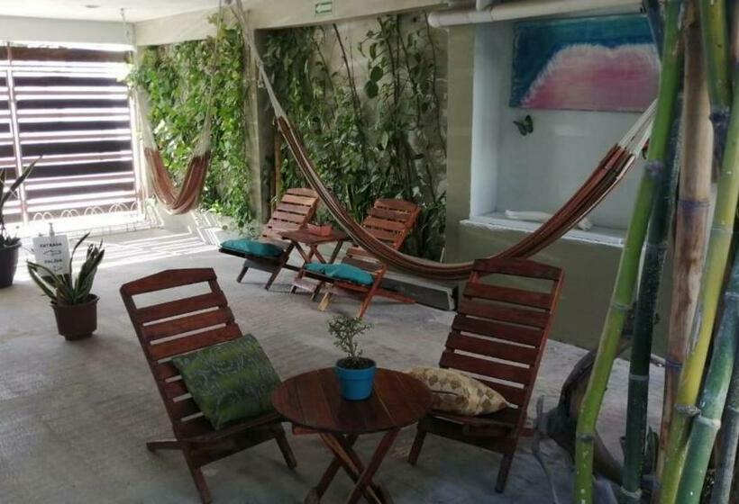 הוסטל Hostal Jardin