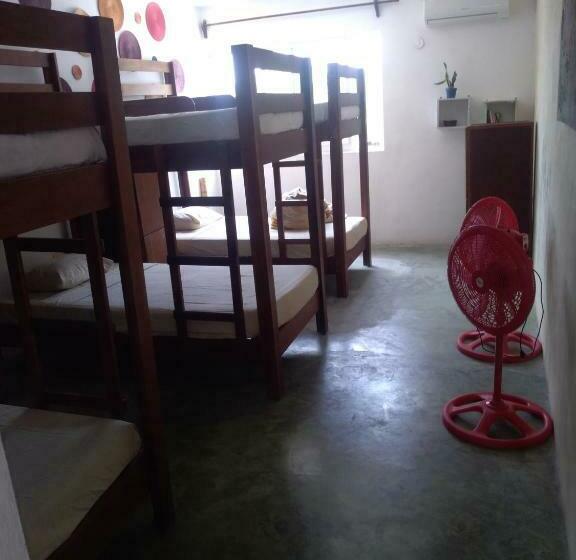 הוסטל Hostal Jardin