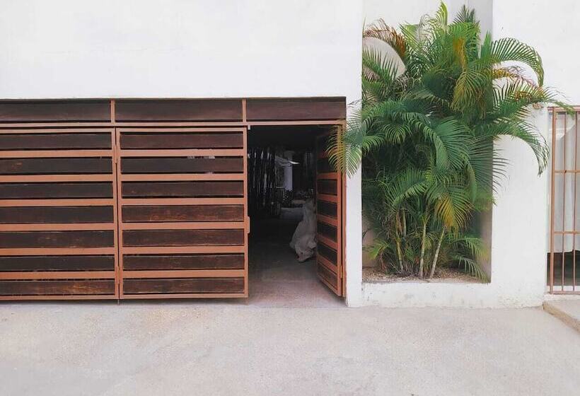 הוסטל Hostal Jardin