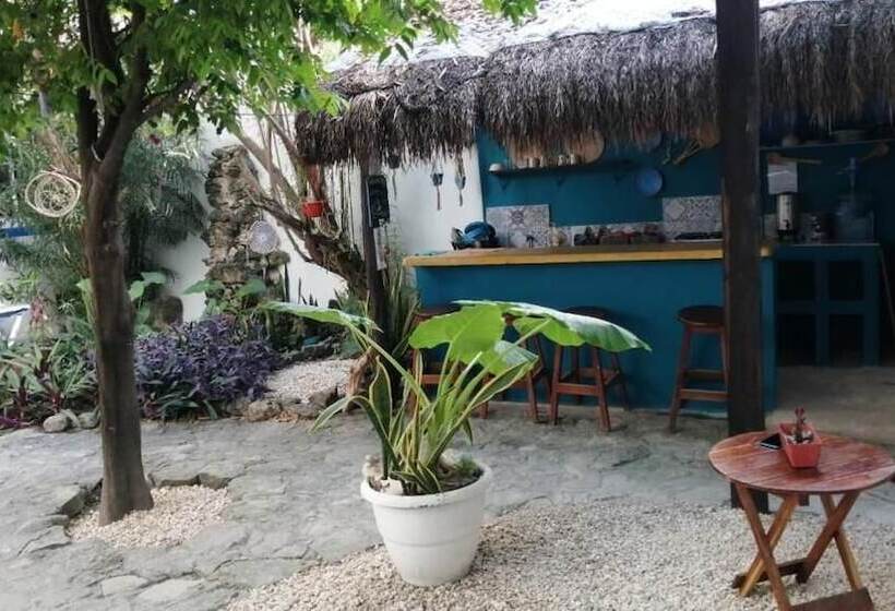 הוסטל Hostal Jardin