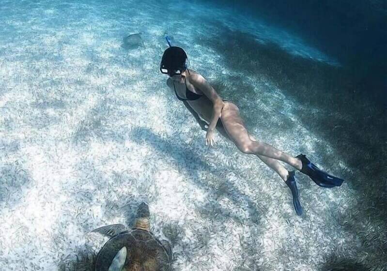 הוסטל Hostal Jardin