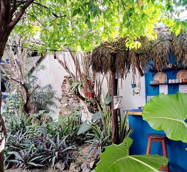 הוסטל Hostal Jardin