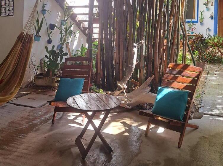 הוסטל Hostal Jardin