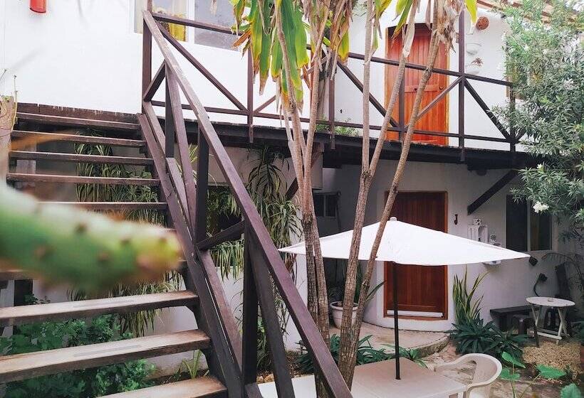 הוסטל Hostal Jardin