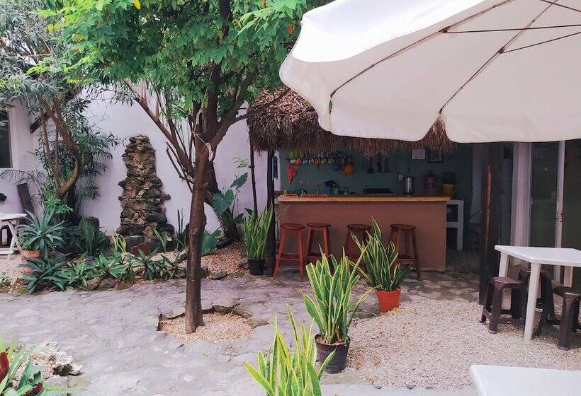 הוסטל Hostal Jardin