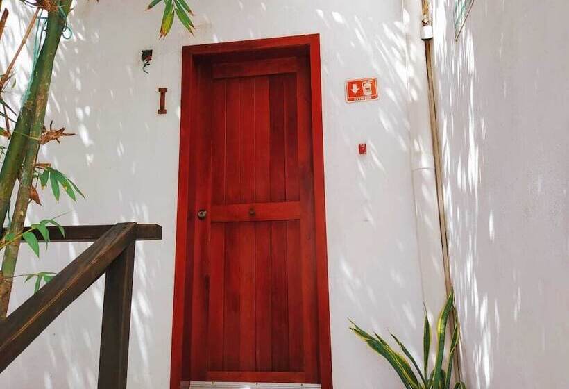 הוסטל Hostal Jardin