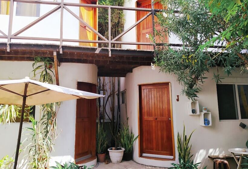 הוסטל Hostal Jardin