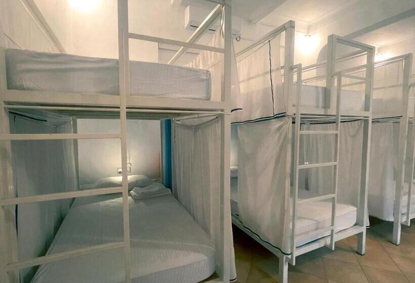 هاستل Lost & Found   Colombo