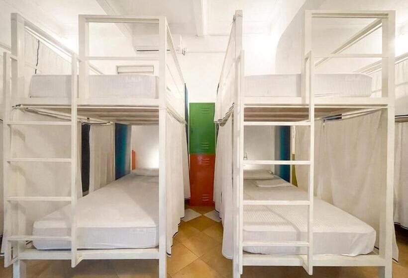 هاستل Lost & Found   Colombo