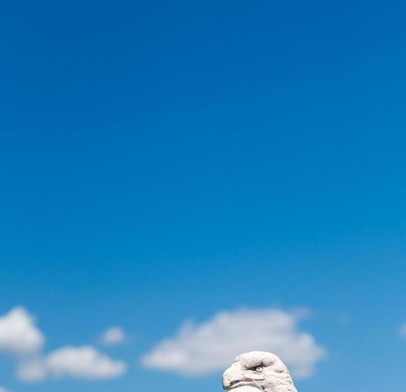 Apartamentos Toboso Plaza