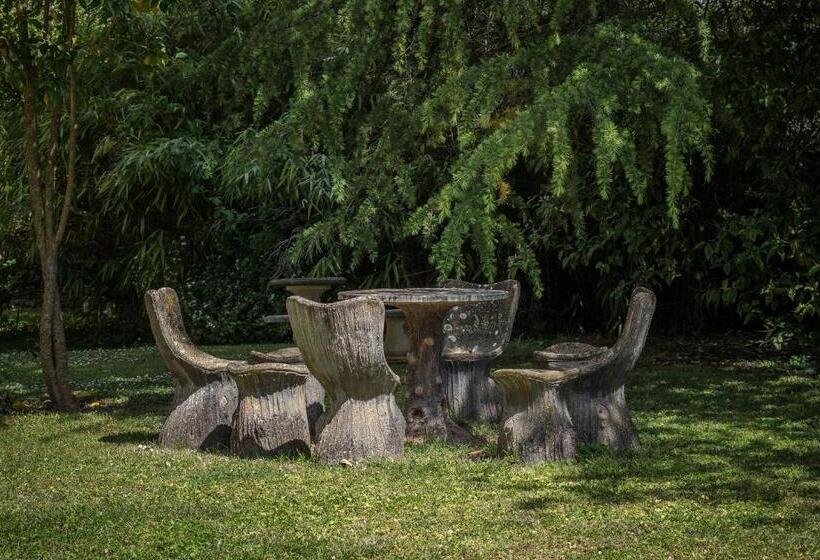 住宿加早餐 Château Des Orchidées En Val De Loire