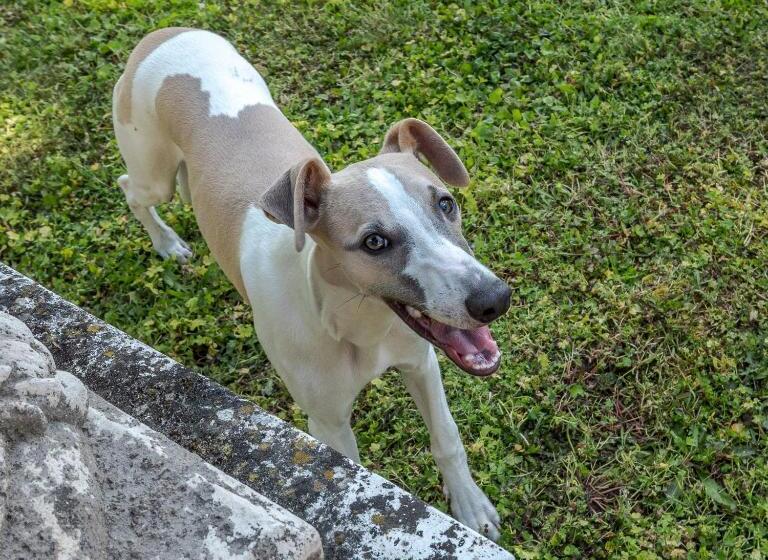 住宿加早餐 Château Des Orchidées En Val De Loire