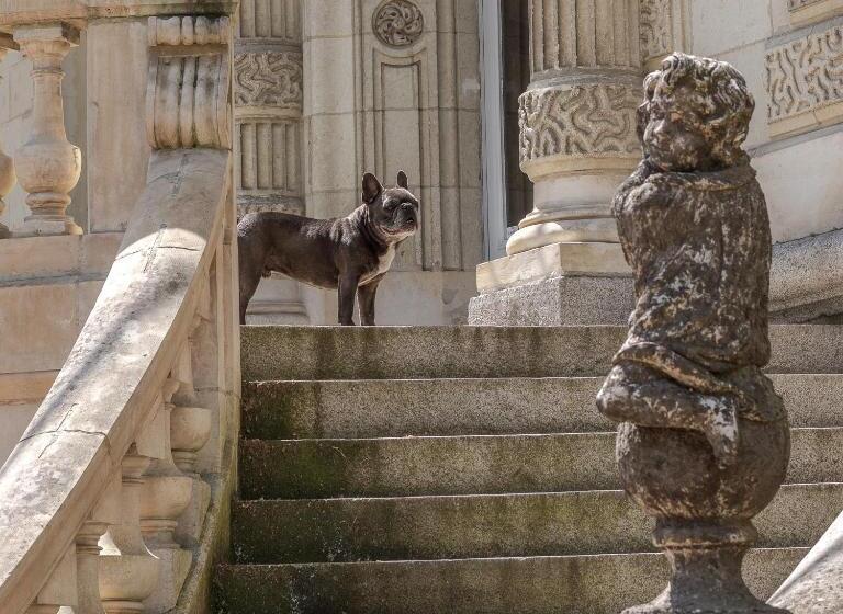 住宿加早餐 Château Des Orchidées En Val De Loire