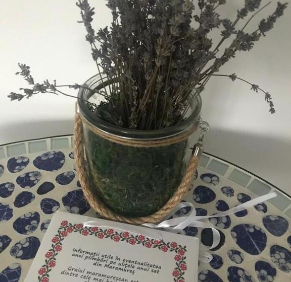 مبيت وإفطار Cununa Văilor