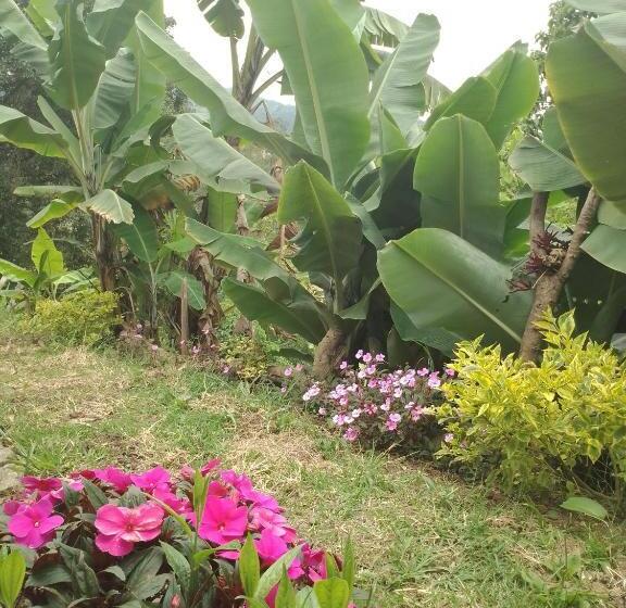 צימר Finca Umnisa   Choachi