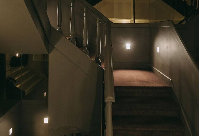 تختخواب و صبحانه The Felix 10